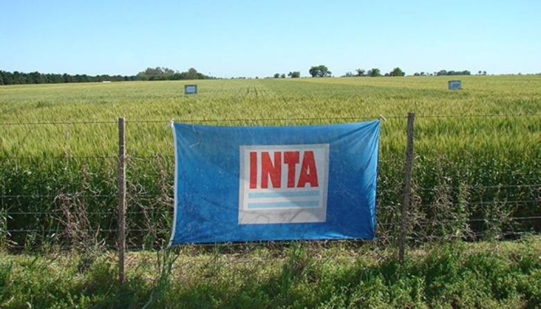 Advierten que se viene "un brutal ajuste" en el INTA
