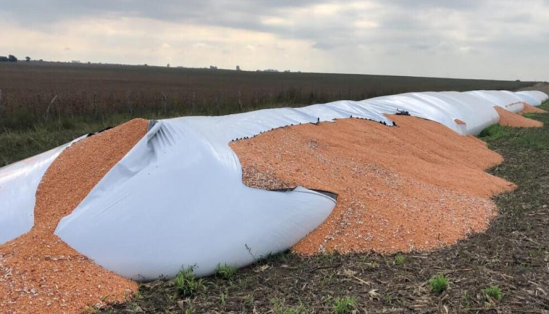 CRA presentó un proyecto para incorporar la figura de “vandalismo rural” en el Código Penal