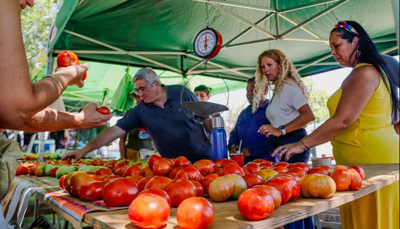 Javier Rodríguez a los tomatazos contra Milei: “tuvimos récord de importaciones de tomate, es absurdo”