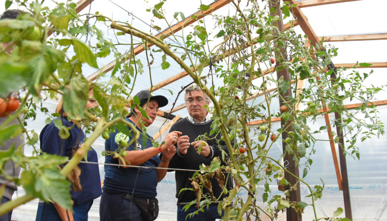Javier Rodríguez lanzó en Berazategui una nueva edición de Huertas Urbanas Bonaerenses