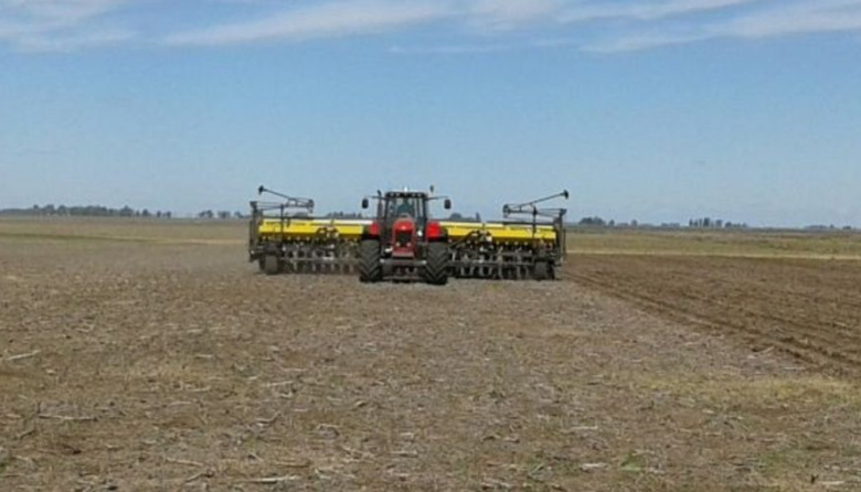 Las bajas temperaturas y la elevada humedad ambiental desaceleraron la siembra nacional de trigo