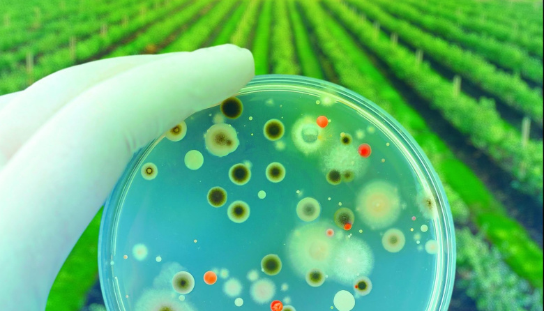 El mercado de los bioinsumos proyecta un crecimiento acelerado y alcanzará niveles históricos en la región