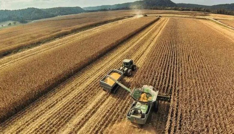 Resta trillar solo el uno por ciento de la superficie para culminar la cosecha de soja