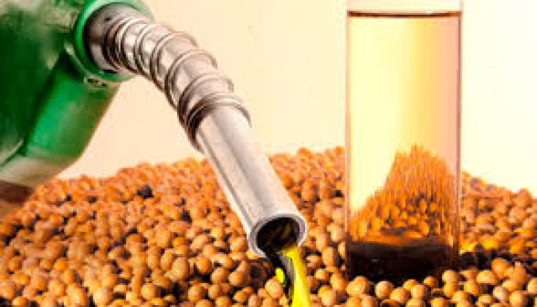El Gobierno fijó el nuevo precio del biodiésel para la mezcla obligatoria con gasoil
