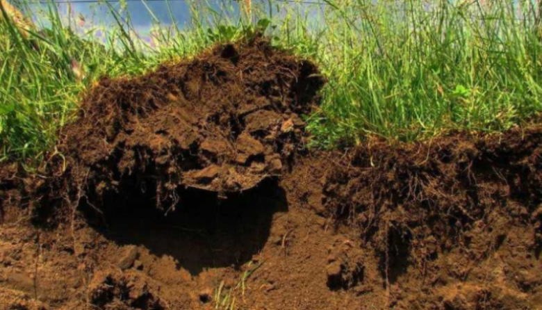 El INTA difundió pautas clave para frenar la erosión hídrica en las zonas semiáridas