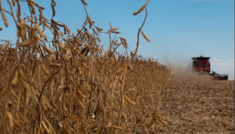 La cosecha de soja cubrió el 99% del área apta y consolida muy buenos rindes