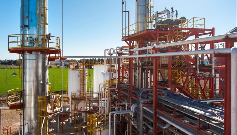 La industria aceitera reclama reformas urgentes para recuperar su competitividad en el mercado global