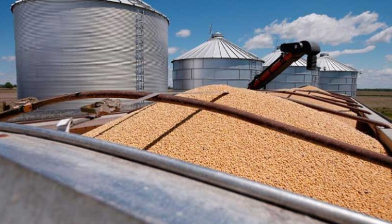 Estiman un menor ingreso de divisas para el sector agropecuario por la caída de precios internacionales
