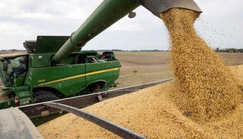 Acsoja advierte que las retenciones frenan la capacidad productiva de la oleaginosa argentina