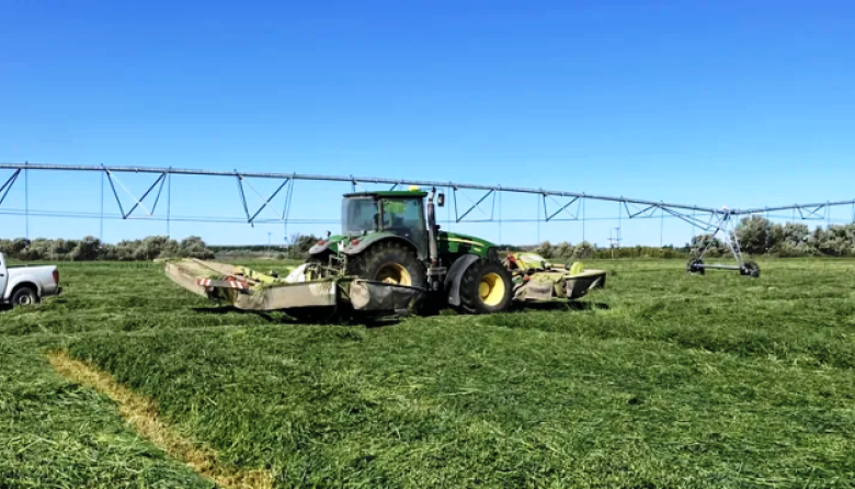 Especialistas del INTA prevén un escenario de alta producción impulsado por El Niño