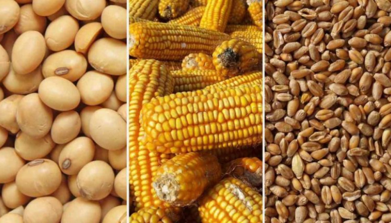 La soja y el maíz encuentran firmeza tras el USDA pero el trigo sigue relegado