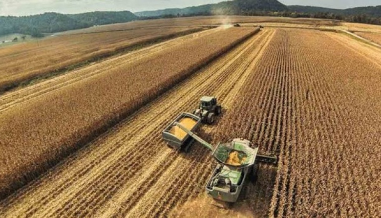 La cadena de la soja aportará exportaciones por más de 21.000 millones de dólares