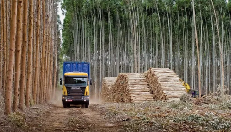 La cadena agropecuaria coincide en la necesidad de tratar una nueva Ley de Semillas