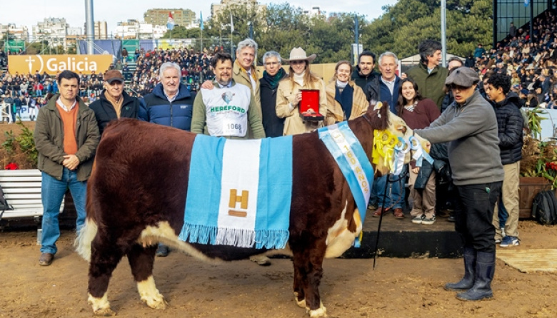 Expo Rural 2026: coronaron a los campeones de razas británicas y analizaron el sector ovino