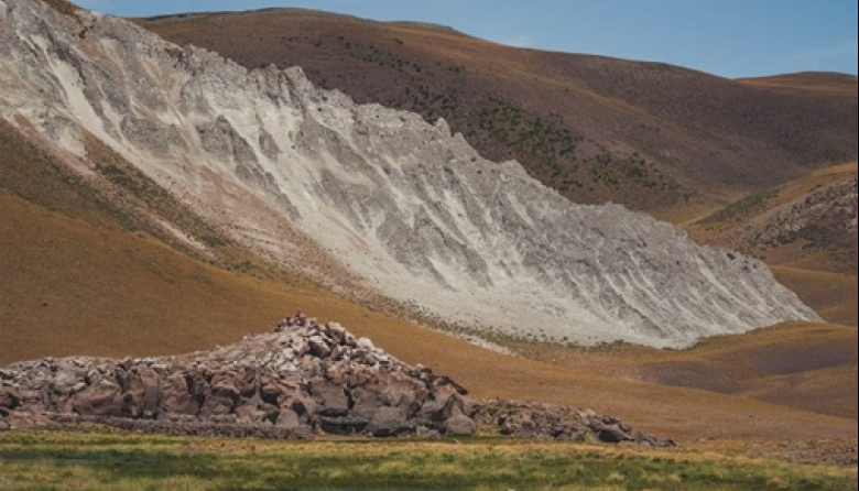 Proponen elevar al 25% el límite a la tenencia de tierras rurales por parte de extranjeros