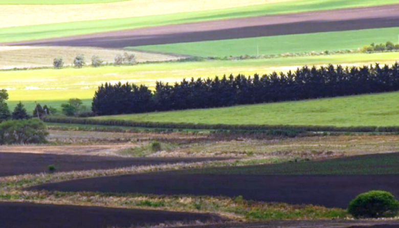 Federación Agraria advierte que la reforma de la Ley de Tierras perjudica a pequeños productores