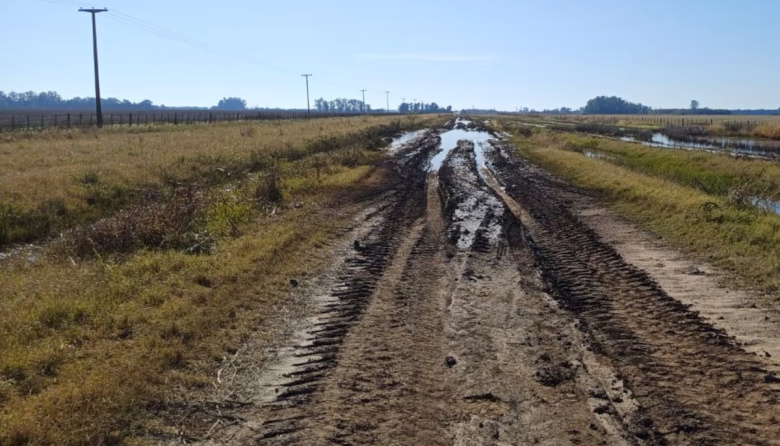 El cordón hortícola de La Plata le reclama a Alak por tasas, inseguridad y falta de obras