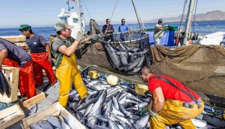 La pesca marítima registró un aumento del 16% en los desembarques durante 2026
