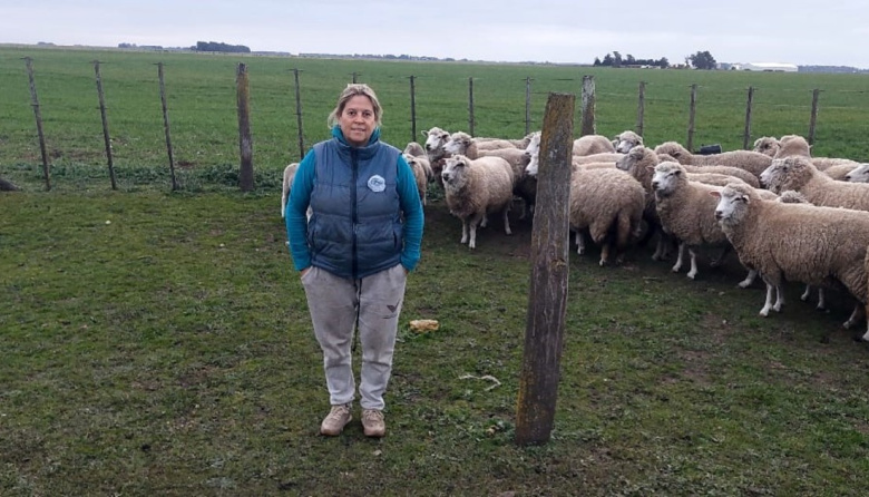 Animales salvajes acechan a los campos de Necochea y provocan grandes pérdidas