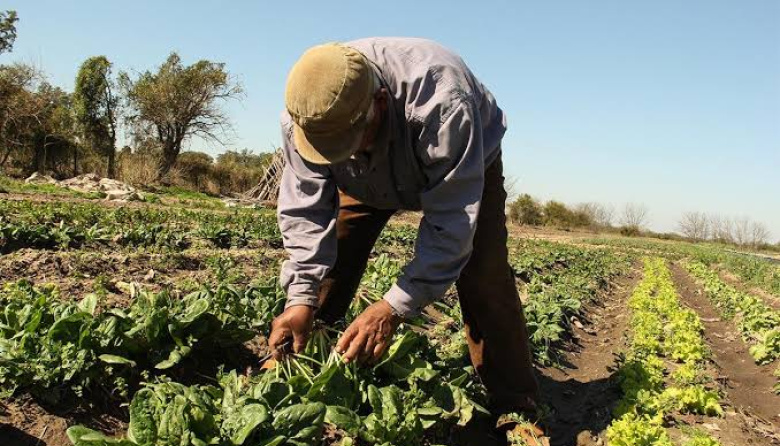 Junín se prepara para recibir al 2° Congreso Provincial de Agroecología