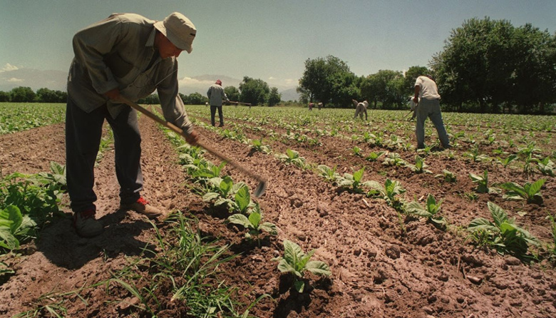 Crece el contrapunto entre UATRE y CAME por los planes sociales en las cosechas regionales