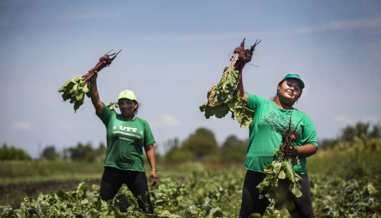 Crisis económica en La Plata: 9 de cada 10 productores hortícolas están endeudados