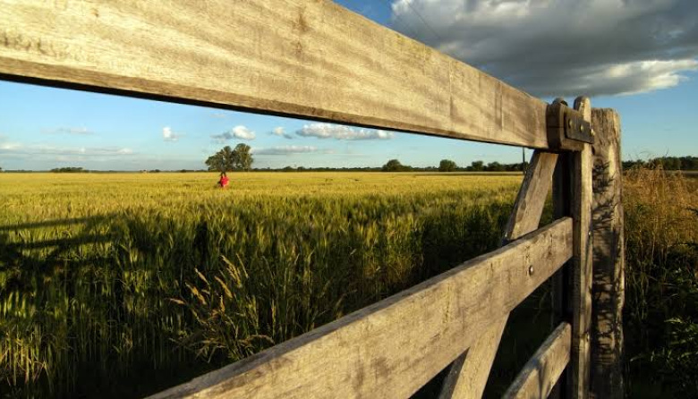 Fallo judicial frena cambios y ordena resguardar registros de tierras en la Provincia