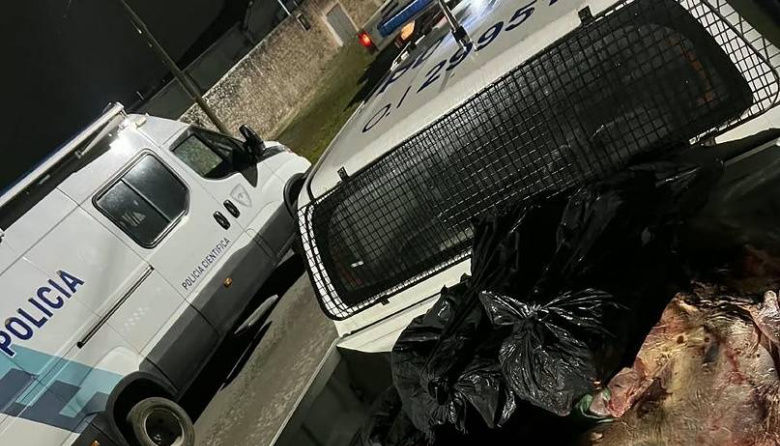 Secuestran 600 kilos de carne en allanamientos contra la faena clandestina
