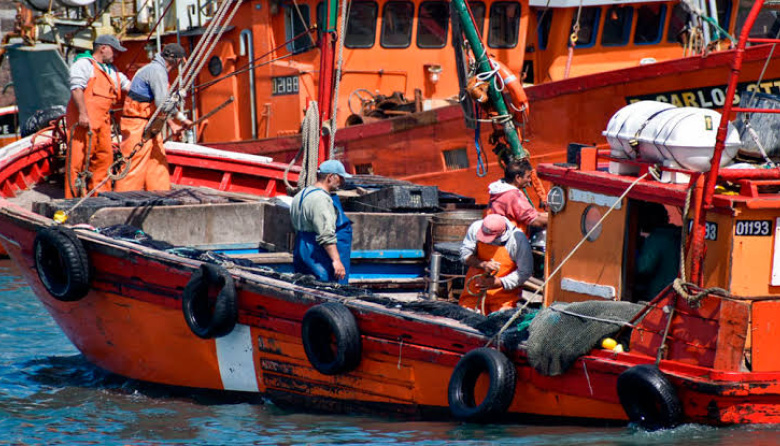 La pesca de Mar del Plata enfrenta una crisis de costos y reclama medidas urgentes