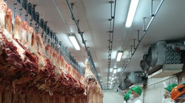 Mar del Plata: invierten 4 millones de dólares en un frigorífico