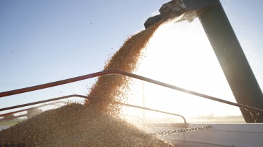 La Secretaría de Agricultura anunció que las exportaciones de 2022 crecieron 8,5%