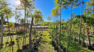 Pinamar lanzó una campaña de forestación colectiva