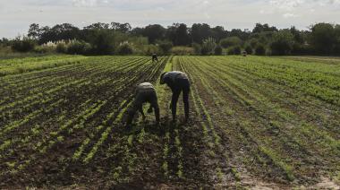 Se lanzó la Segunda Convocatoria para Proyectos de Fortalecimiento Productivo de la Agricultura Familiar Bonaerense