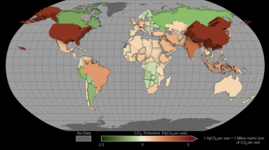 Argentina es de los pocos países con balance positivo de carbono