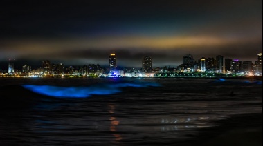 Se iluminó el mar con un color fosforescente en Mar del Plata y el INIDEP reveló la verdad