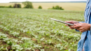 Huella de carbono: la empresa argentina que se encamina a liderar las inversiones sustentables del agro