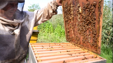 Javier Rodríguez destacó el crecimiento de la actividad apícola