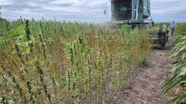 Culminó la primera Cumbre Internacional y ExpoIndustria del Cannabis y Cáñamo