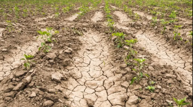 La provincia ya decretó la prórroga de la emergencia agropecuaria