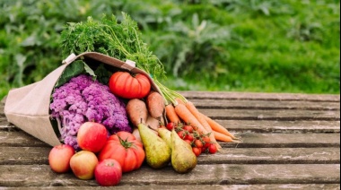 La FAO considera "muy preocupante" la situación global de inseguridad alimentaria