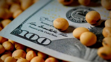 Agroexportadores liquidaron US$ 106 millones en el marco del Dólar Agro