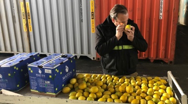 Acuerdan agilizar la gestión de trámites para emitir certificados en la exportación de cítricos