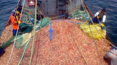 Ponen en marcha campaña de estudio poblacional y ecosistémico de langostino