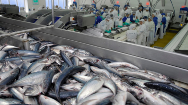 El índice de producción industrial pesquero marcó en marzo una caída de 12%