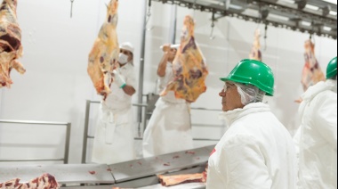 Avanzan gestiones para la apertura del mercado mexicano para productos animales y vegetales