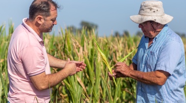 El municipio de Lincoln reduce la carga impositiva a productores afectados por la sequía