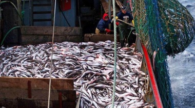 Denuncian a la pesquera marplatense Fishing Ground S.R.L. por subfacturar exportaciones de merluza
