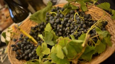 Vitivinícolas bonaerenses expusieron sus vinos en Malvinas Argentinas