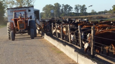 Agricultura aprobó asistencia de $88 millones para productores bovinos