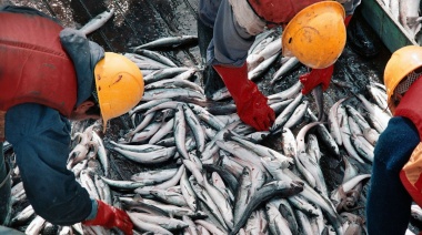 Argentina encabeza el ránking mundial de potencialidad pesquera